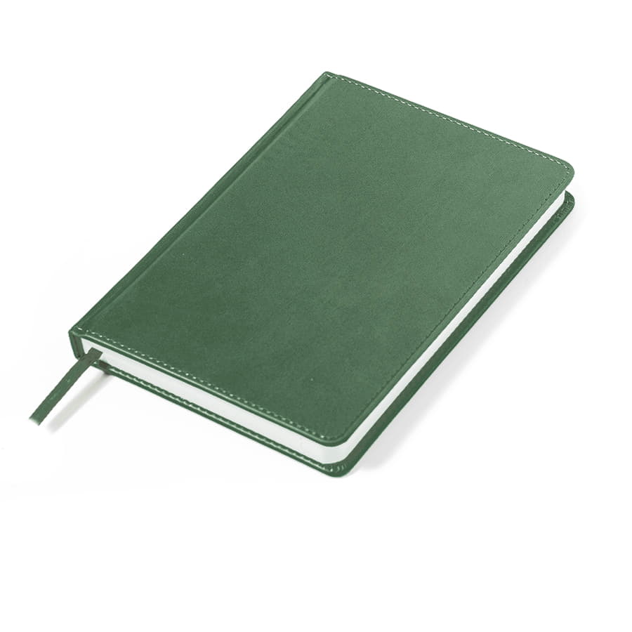 Ежедневник недатированный Campbell, формат А5,  в линейку, зеленый-3