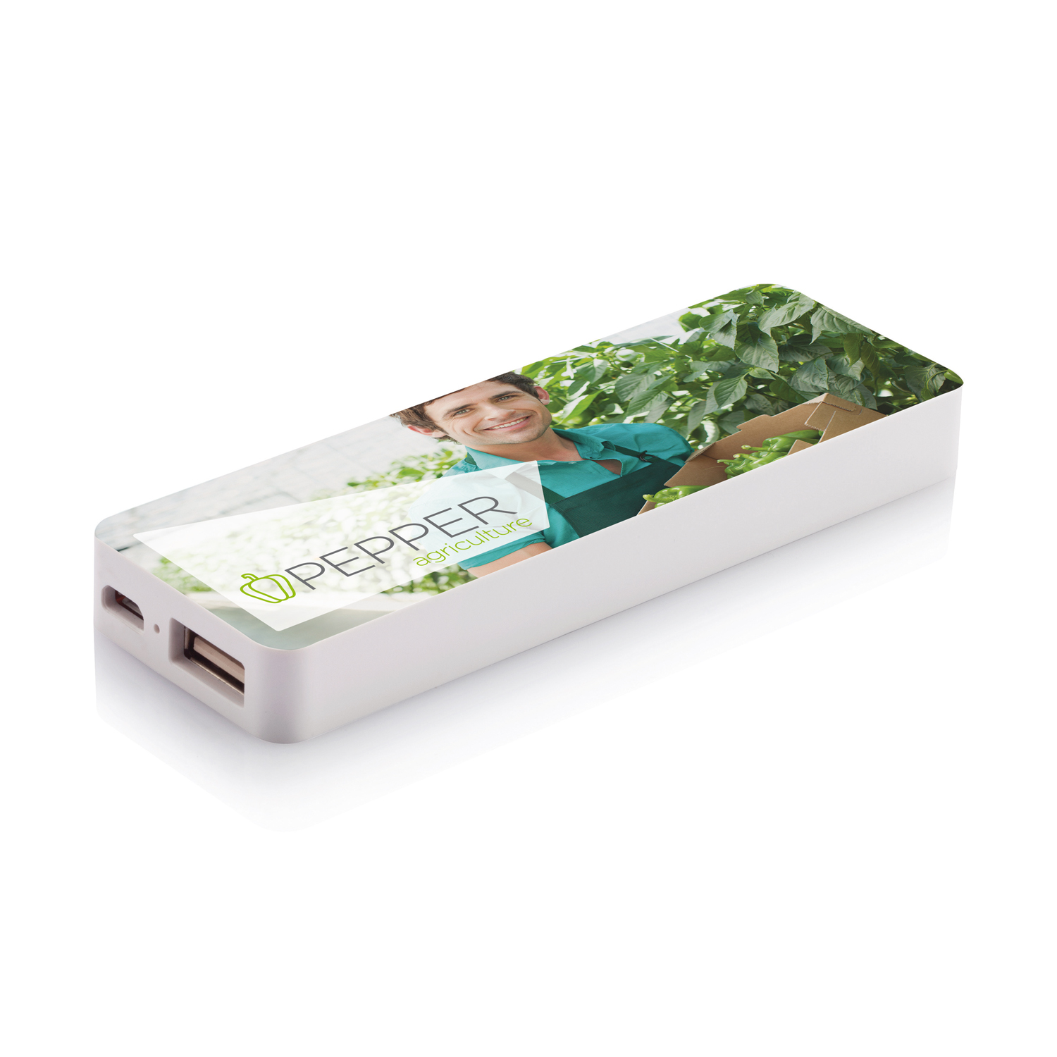 Зарядное устройство, 2500 mAh-2