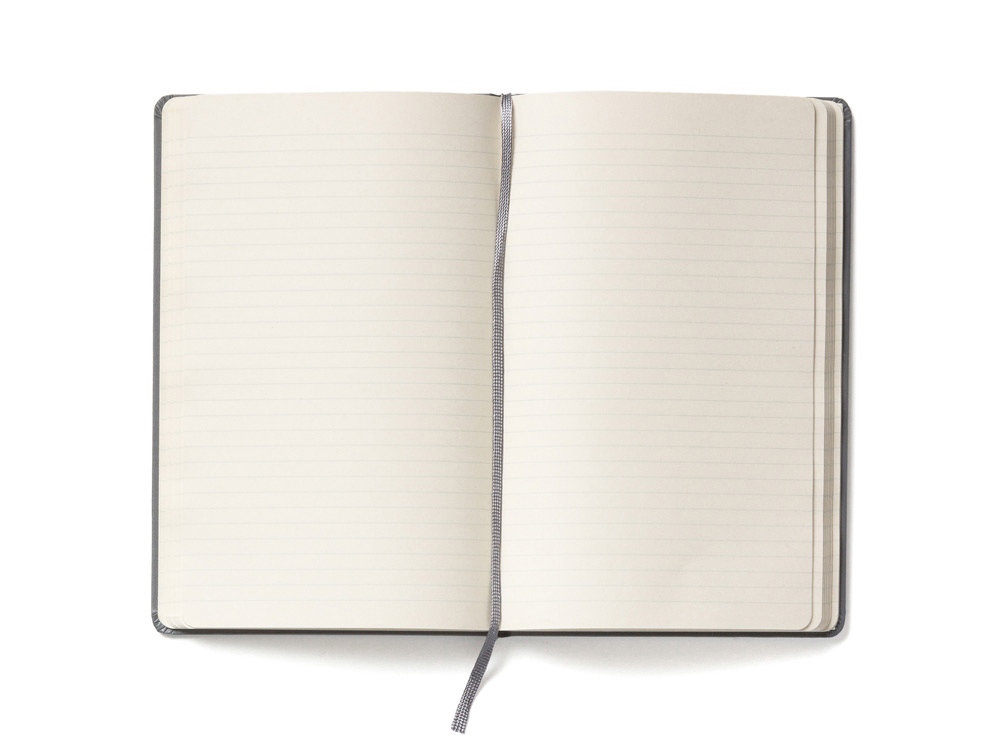Записная книжка Moleskine Classic (в линейку) в твердой обложке, Large (13х21см), серый-1