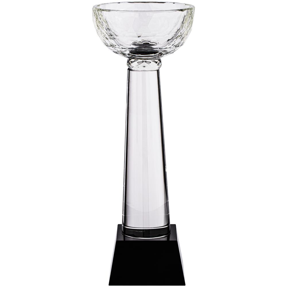 Кубок Cupture, большой-1
