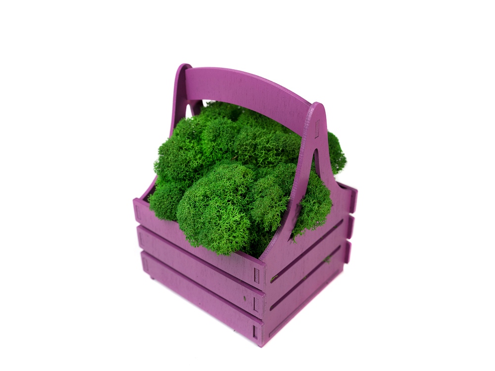 Композиция Корзинка со мхом, фиолетовый-3