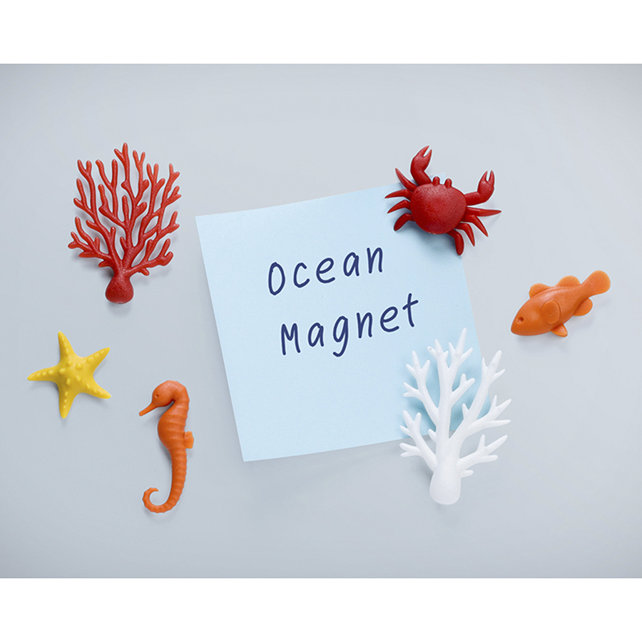 Магниты Ocean Ecology, Мультиколор-1