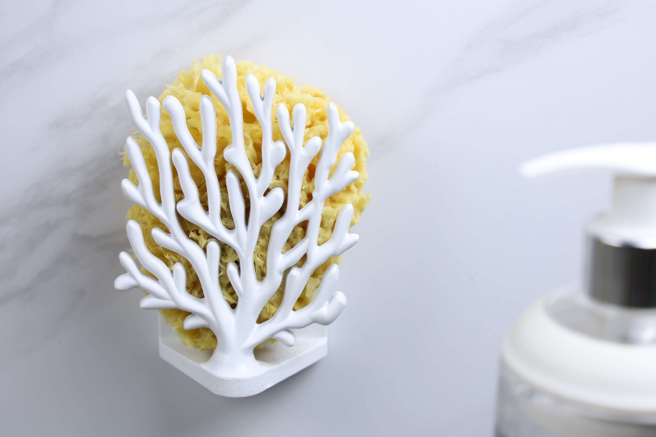 Держатель для мочалок coral sponge, Белый-1