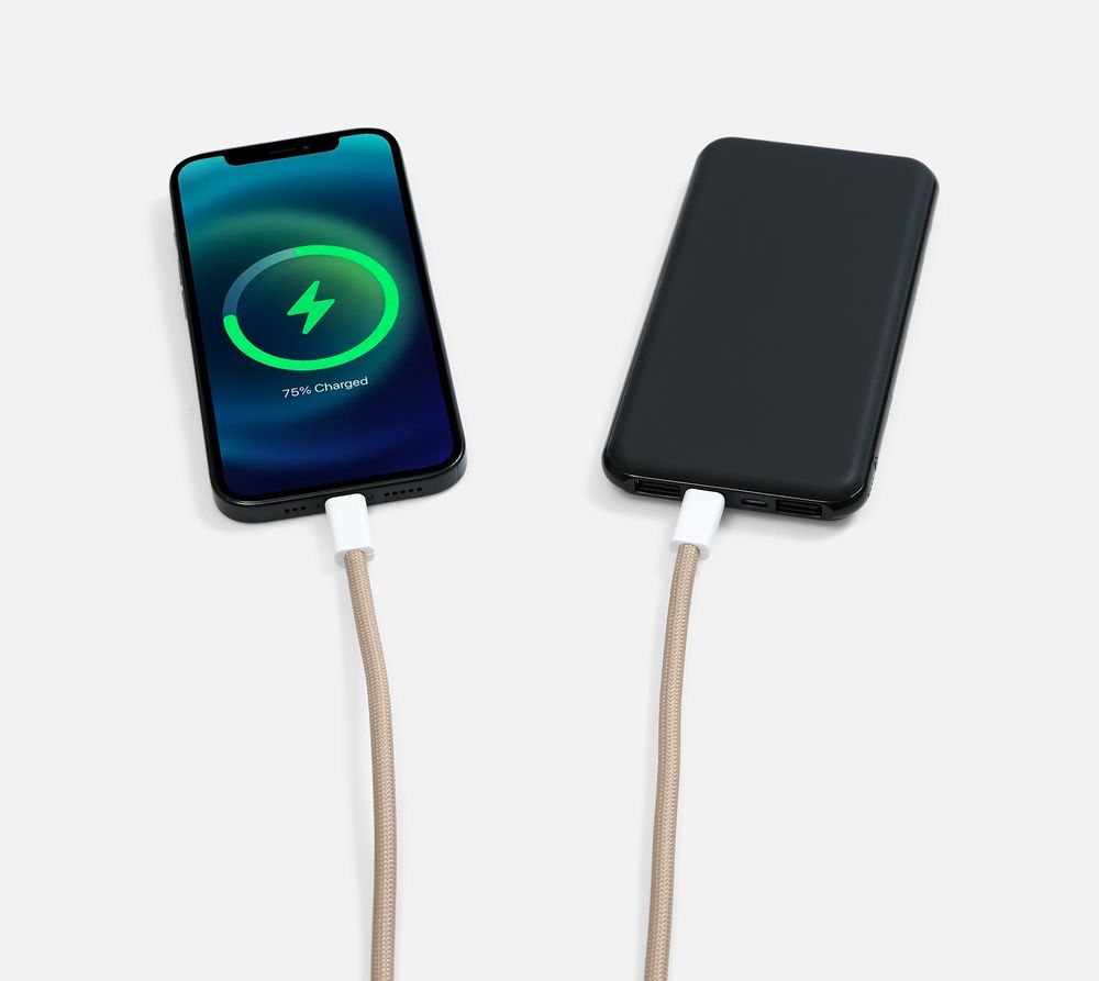 Кабель-ланьярд energyFlex Pro, серо-бежевый-5