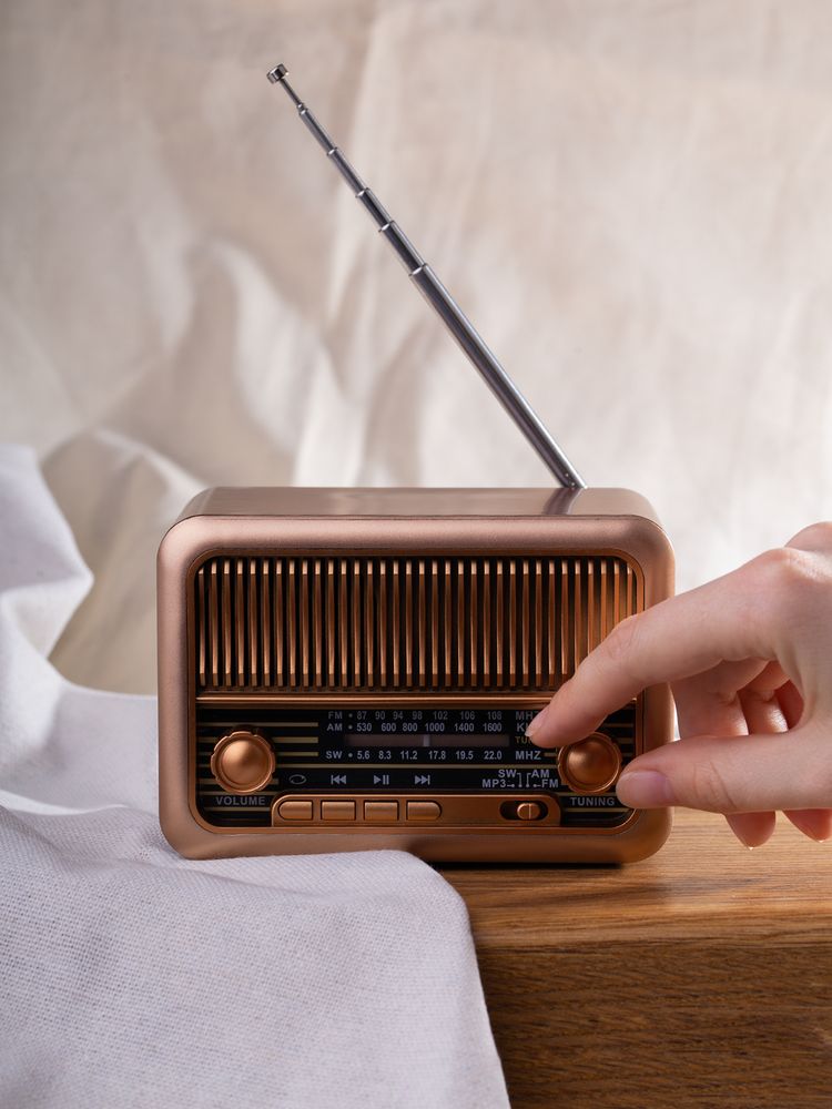 Bluetooth-колонка с радио Beatnik, коричневая-5