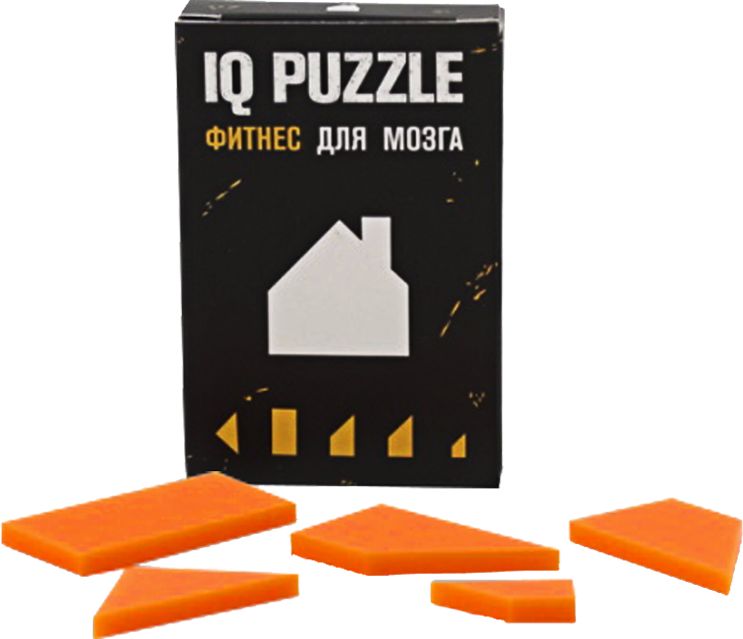 Головоломка IQ Puzzle, домик-1