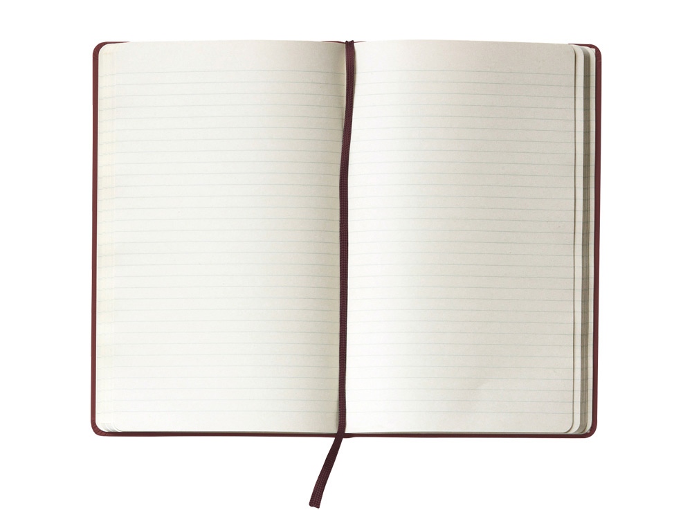 Записная книжка Moleskine Classic (в линейку) в твердой обложке, Large (13х21см), амарант-1
