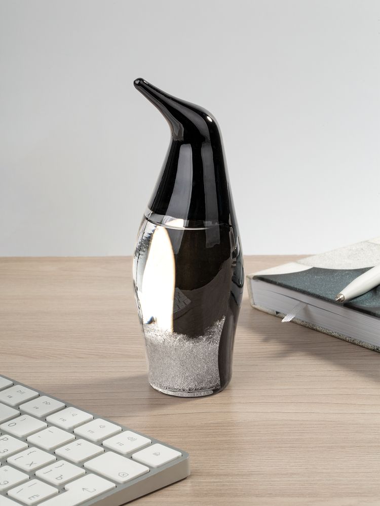 Штормгласс Penguin, черный-2