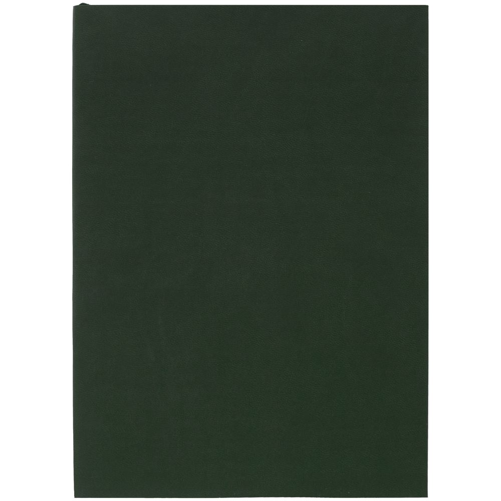 Ежедневник Flat Light, недатированный, зеленый-1