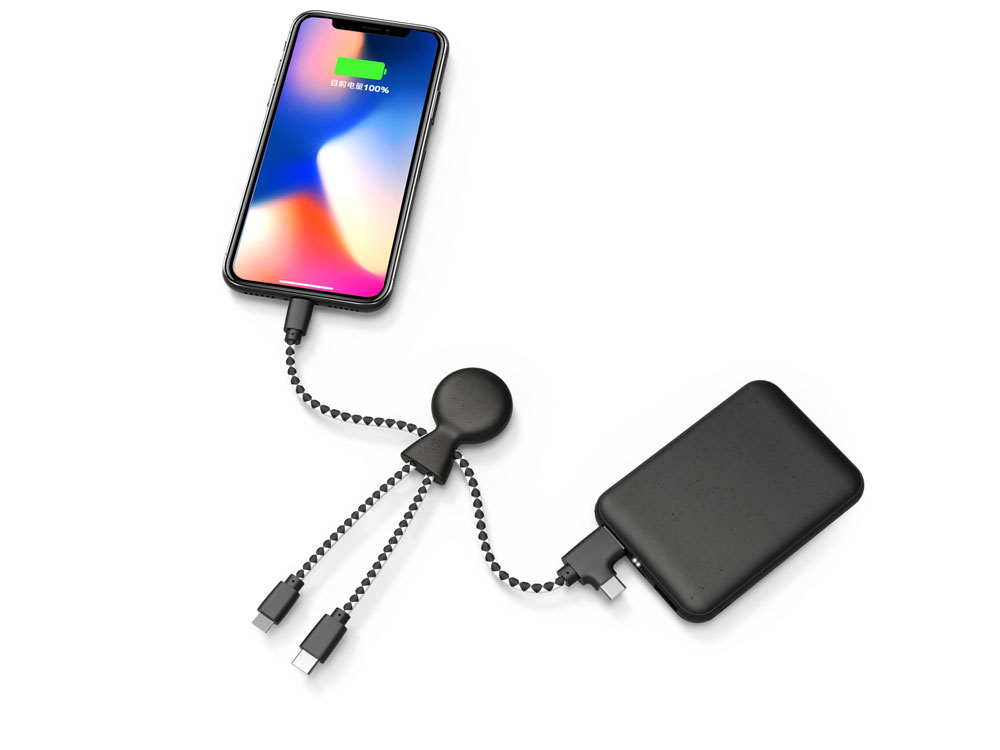 Портативное зарядное устройство BioPack c кабелем Mr. Bio, 5000 mAh, черный-3
