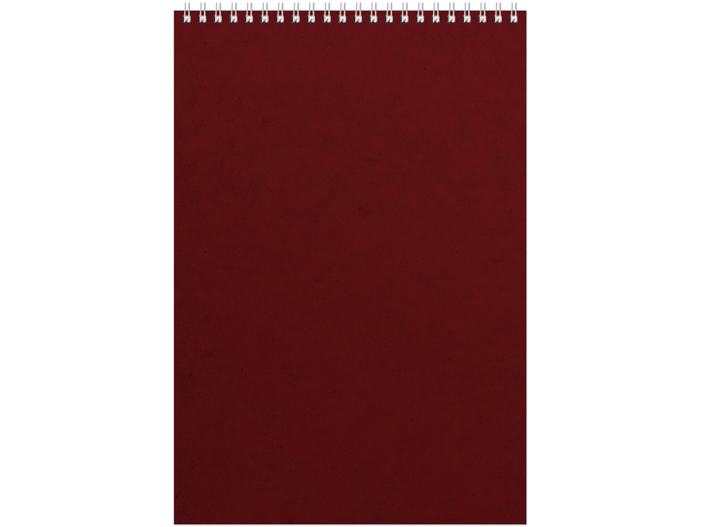 Бизнес - блокнот Альт А4 (198 х 285 мм) Office 60 л., бордовый-0