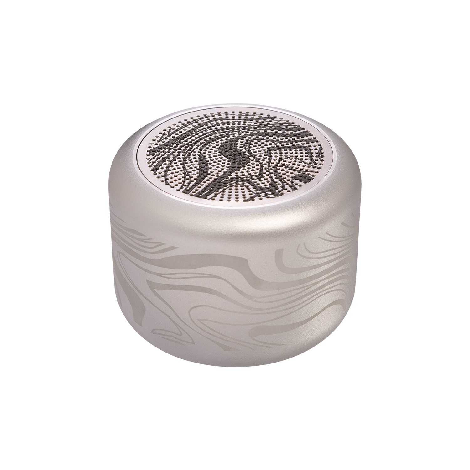 Беспроводная колонка Пэшн (Passion) 80dB 600 mAh (Bluetooth 5.4), серебряная-10