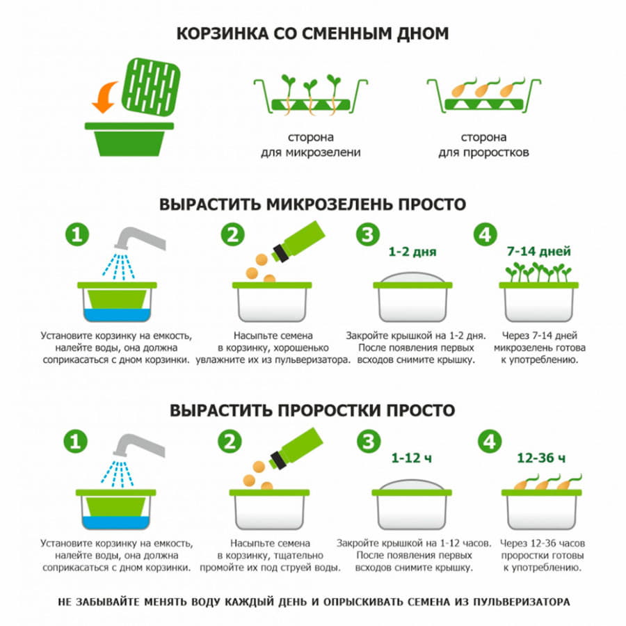 Подарочный комплект для проращивания микрозелени: проращиватель, семена руколы, зеленый, бежевый-3