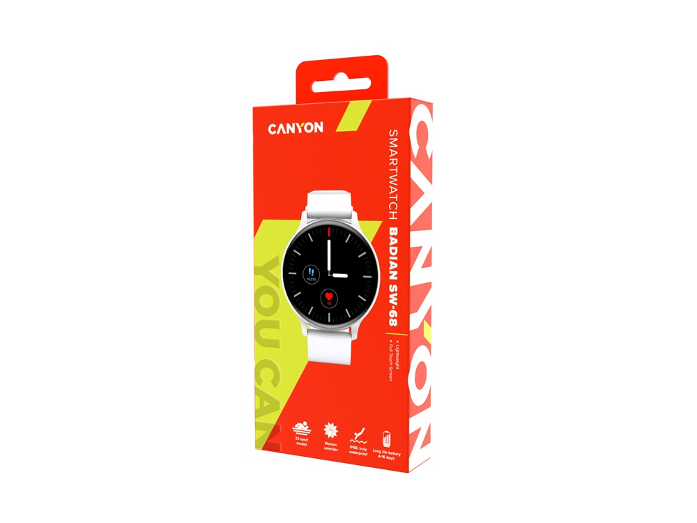 Смарт-часы Canyon SW-68  Badian, IP68, серебряный-3