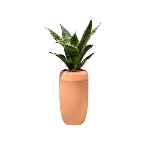 Горшок с крышкой, Оранжевый