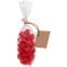 Вишня Cherry Lady