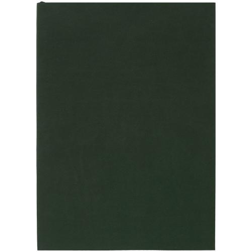 Ежедневник Flat Light, недатированный, зеленый